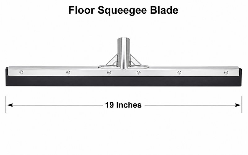 19 Inches Long