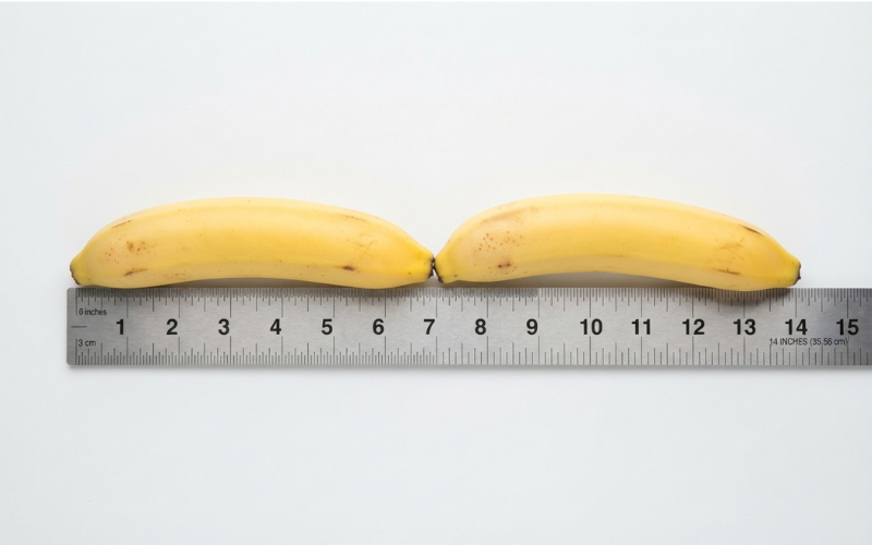 14 Inches Long