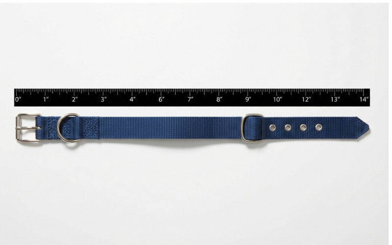 14 Inches Long