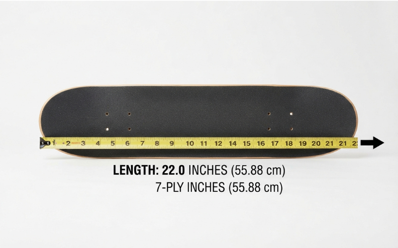 22 Inches Long