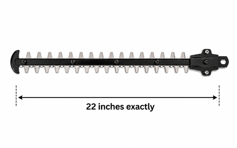 22 Inches Long