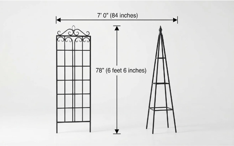 Things that are 7 feet tall