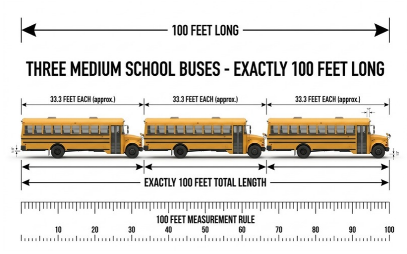 Things that are 100 feet long
