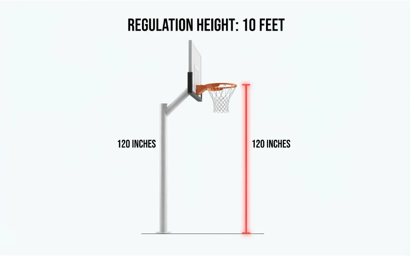 Things that are 10 feet tall