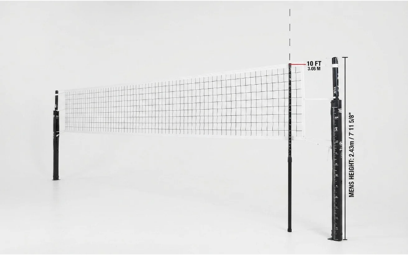 Things that are 10 feet tall