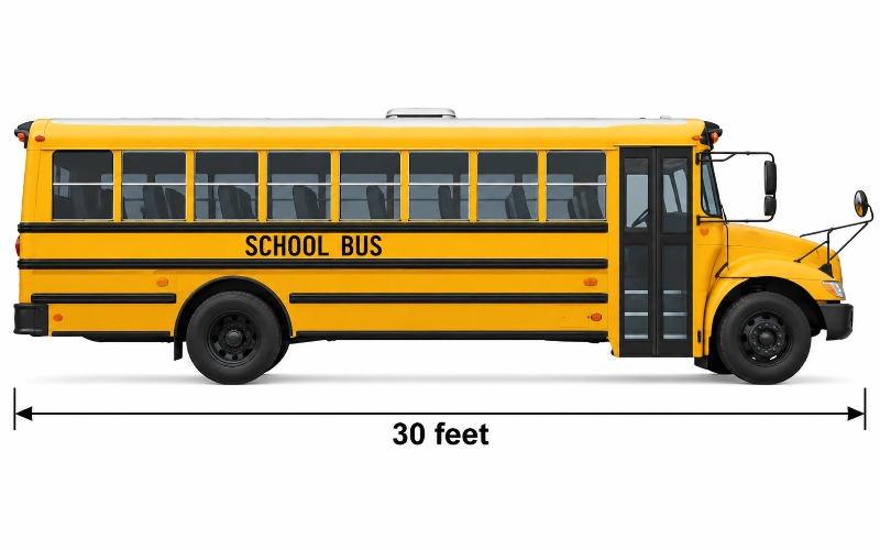 Things that are 30 feet long