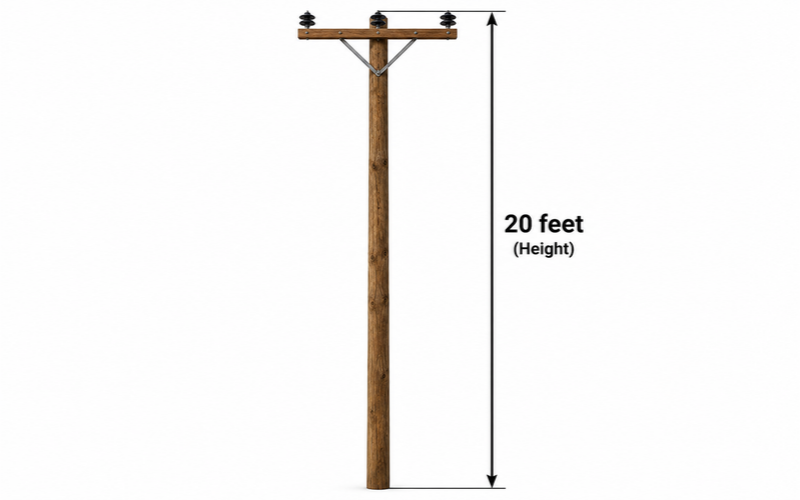 Things that are 20 feet tall