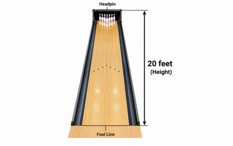 Things that are 20 feet tall