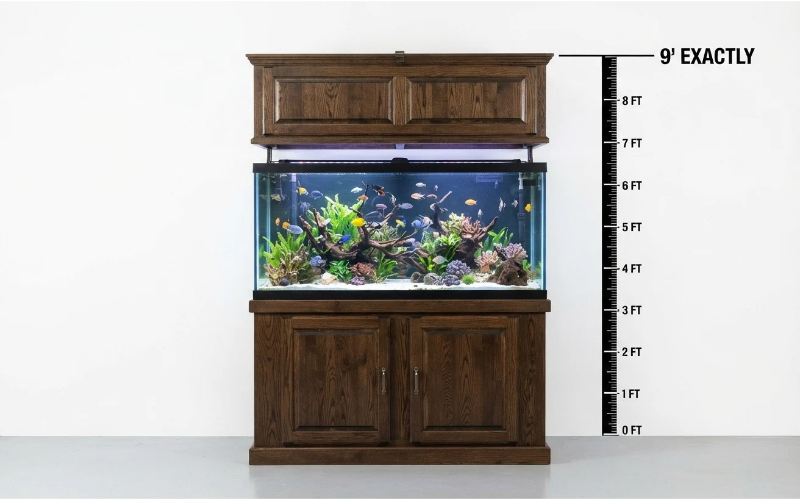 Things that are 9 feet tall